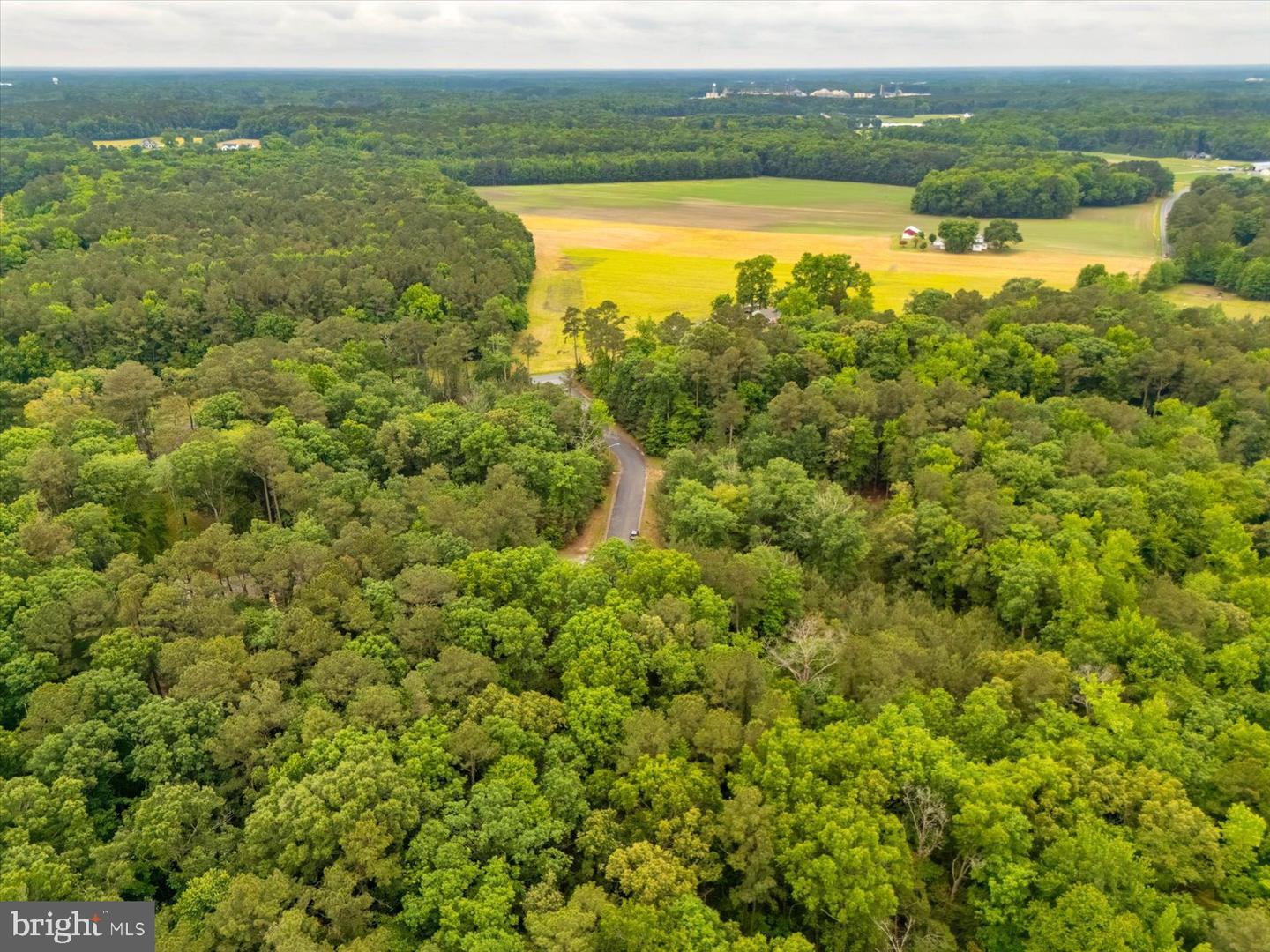 Pristine Pl #16aa Property Photo 12