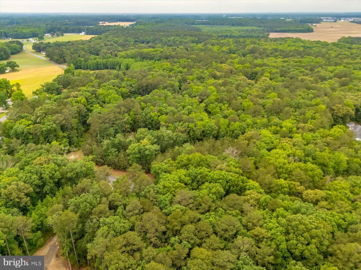 Pristine Pl #16aa Property Photo 13