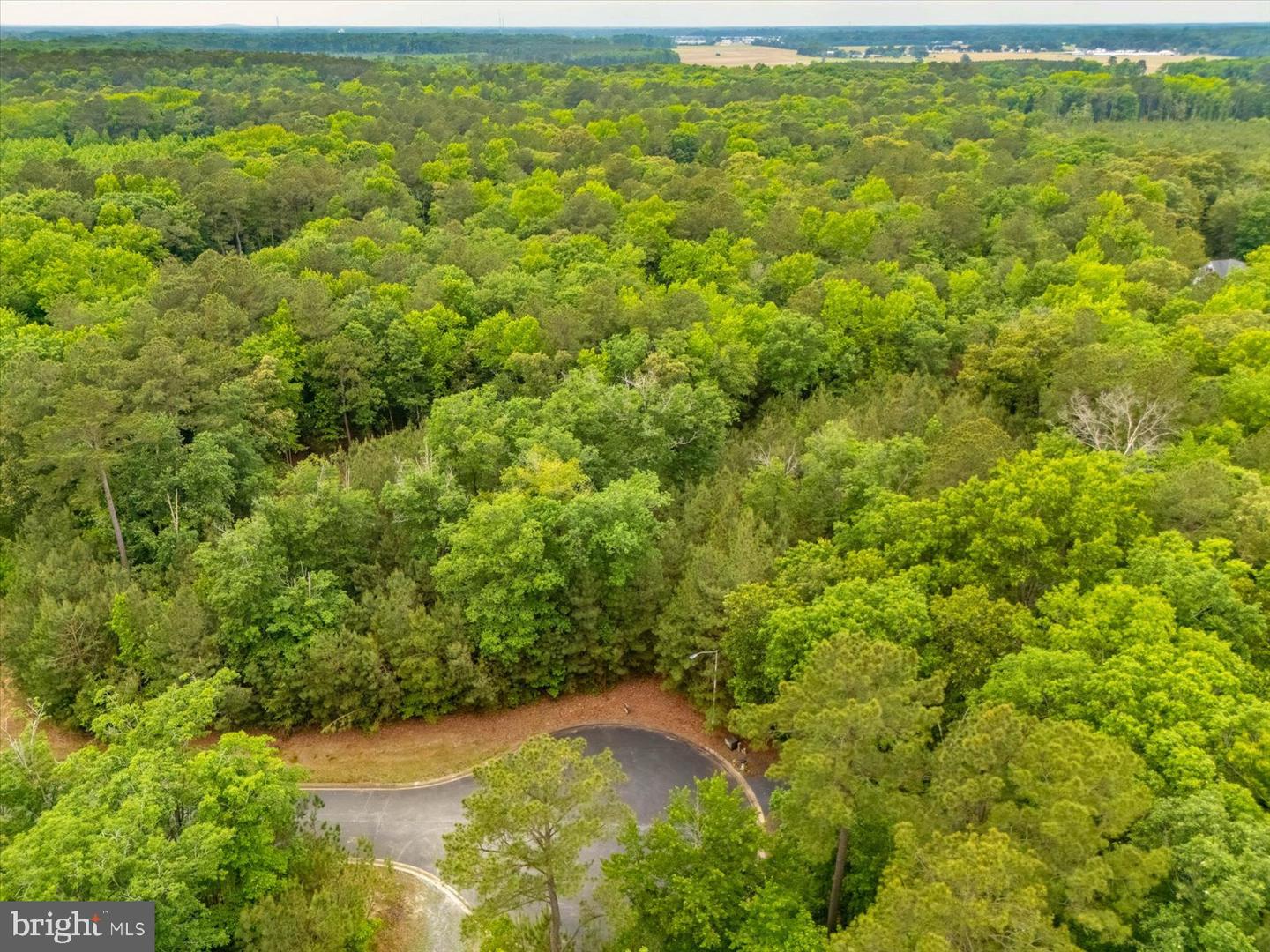 Pristine Pl #16aa Property Photo 14