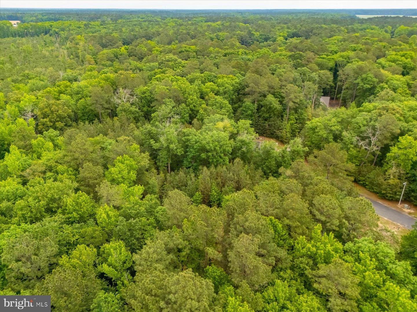 Pristine Pl #16aa Property Photo 15