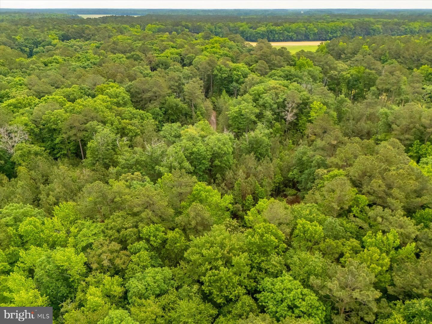Pristine Pl #16aa Property Photo 16