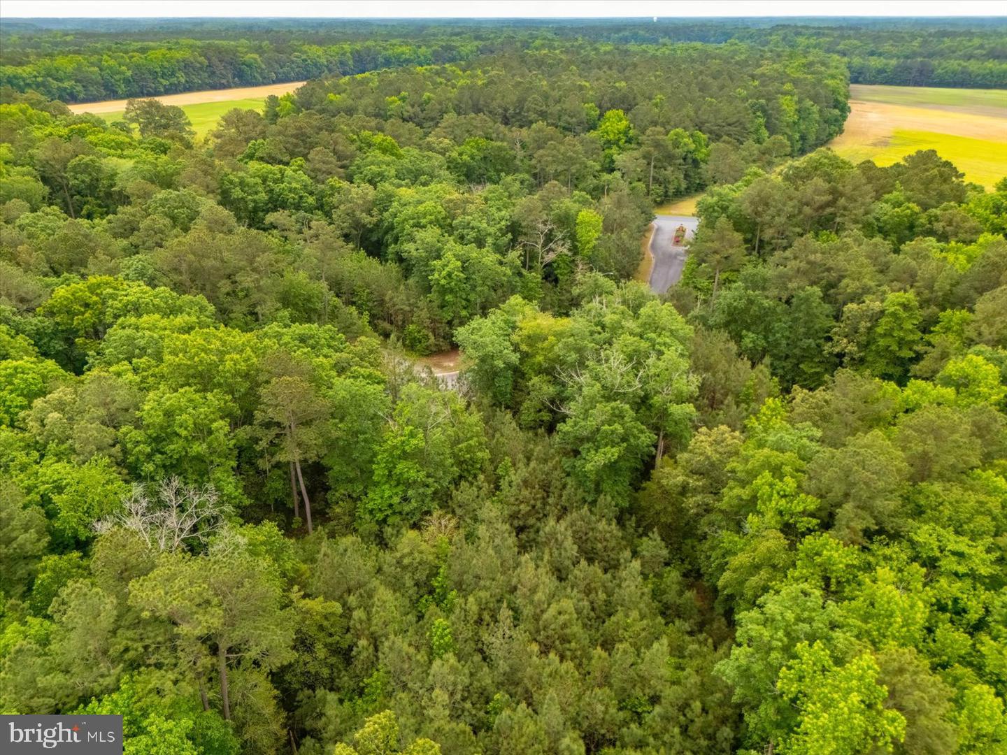 Pristine Pl #16aa Property Photo 17