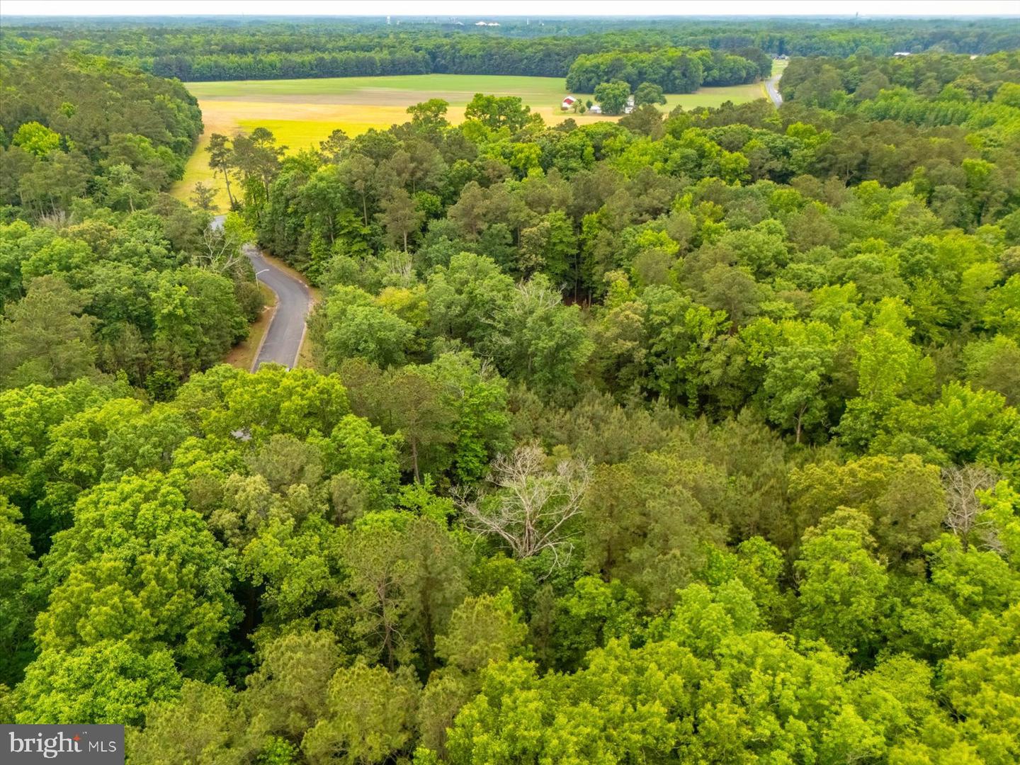 Pristine Pl #16aa Property Photo 18