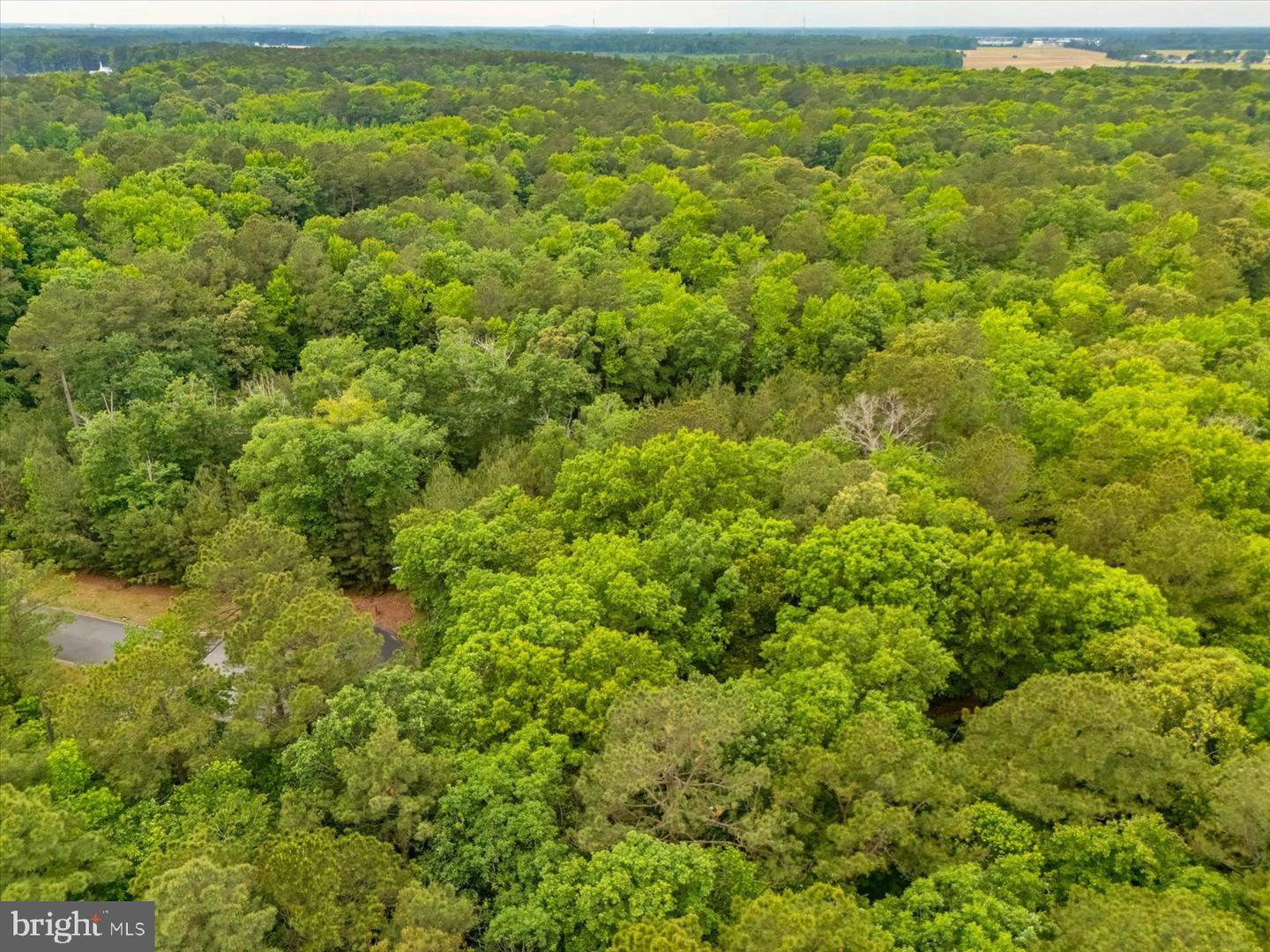 Pristine Pl #16aa Property Photo 19