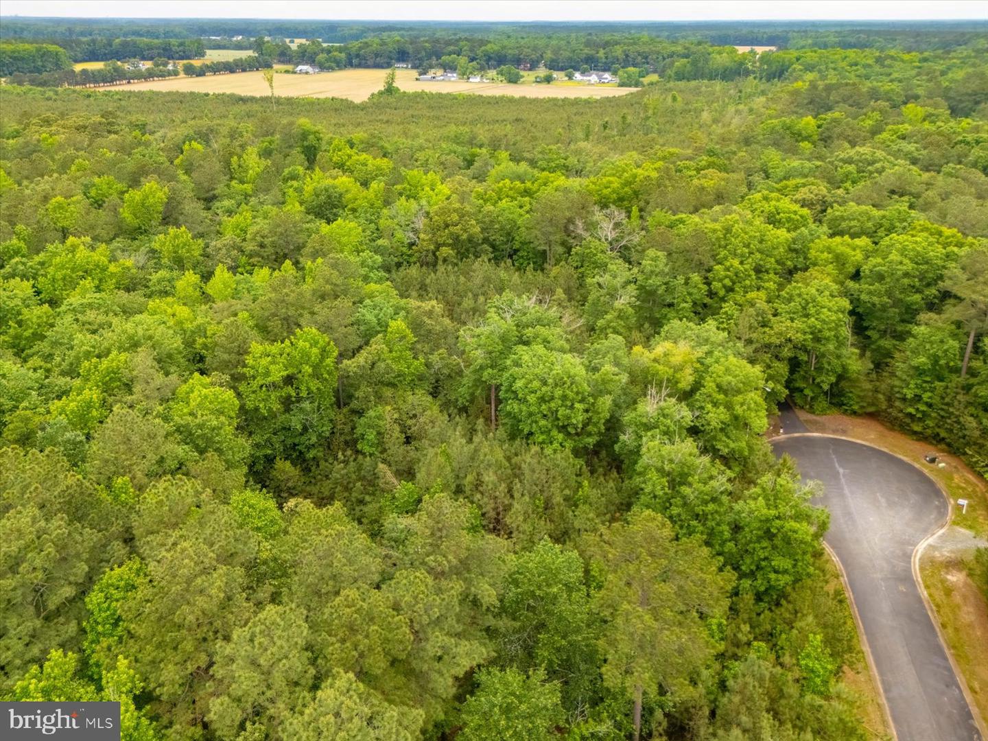 Pristine Pl #16aa Property Photo 24