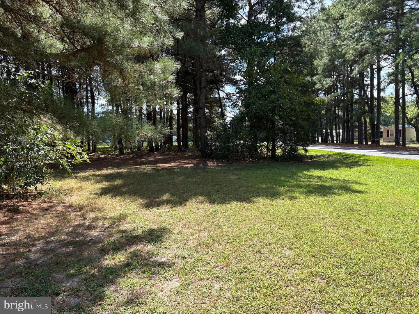 31867 Shavox Rd Property Photo 36