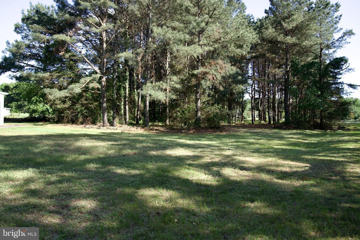 31867 Shavox Rd Property Photo 37