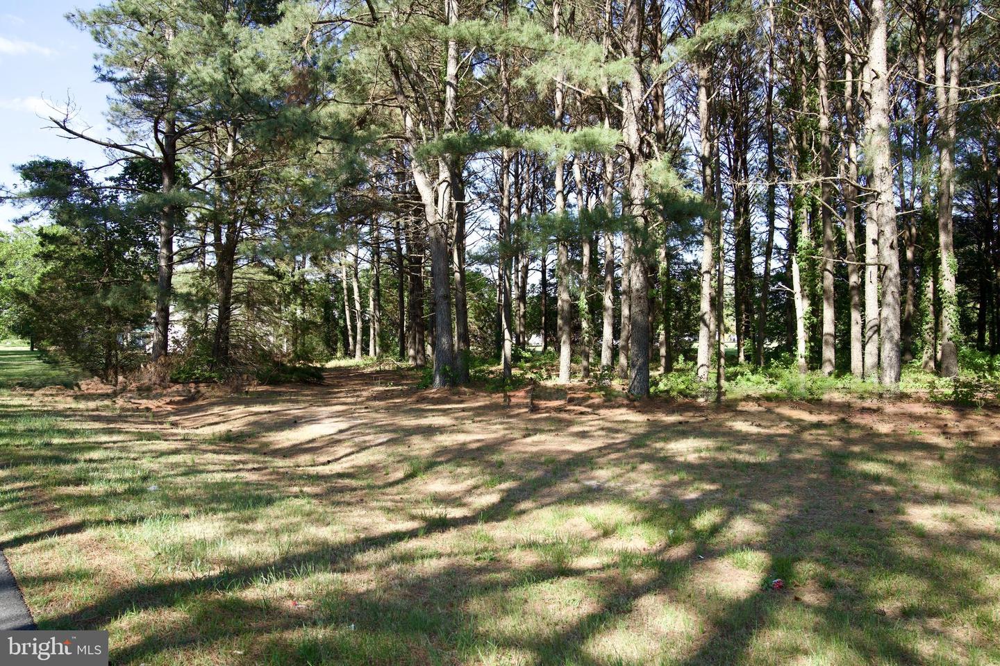 31867 Shavox Rd Property Photo 38