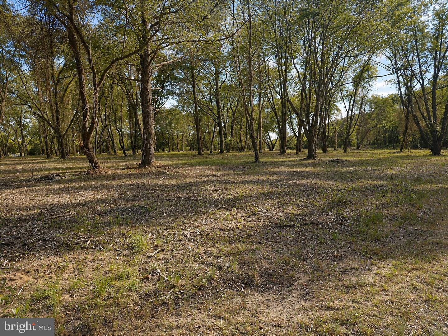 Lot 1 Red Hill Ln Property Photo 1