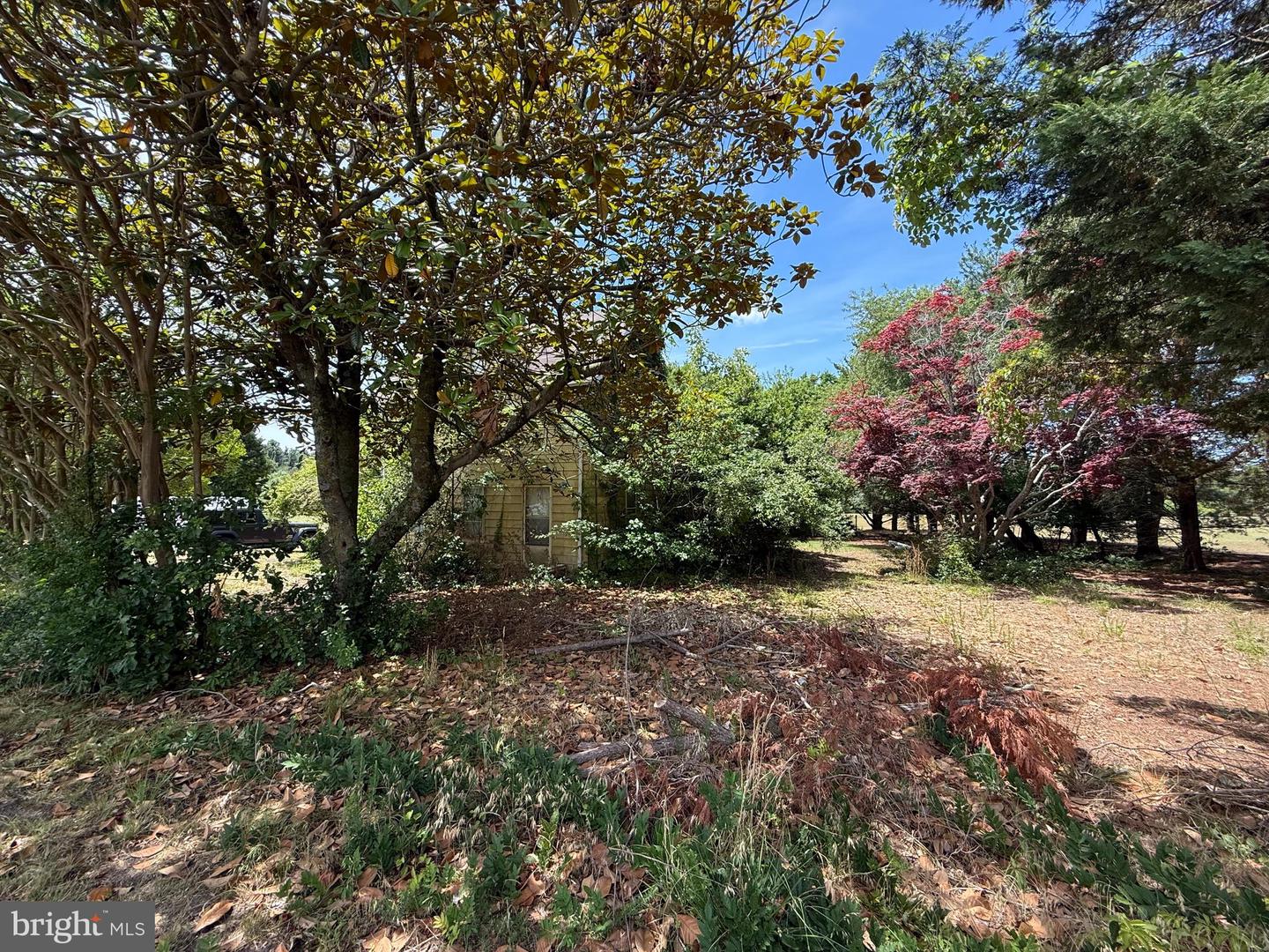 4506 Tyaskin Rd Property Photo 16