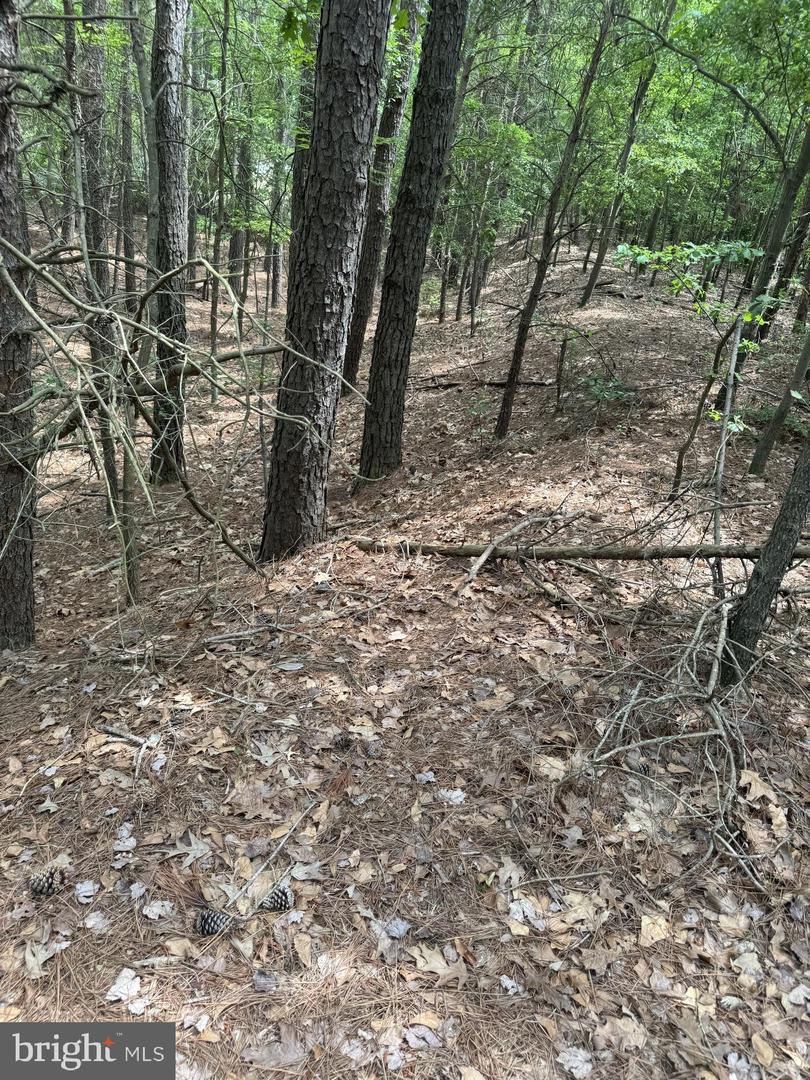 0 Nanticoke Rd Property Photo 7