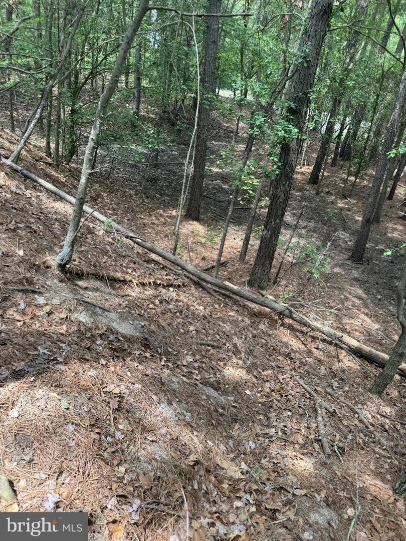 0 Nanticoke Rd Property Photo 8