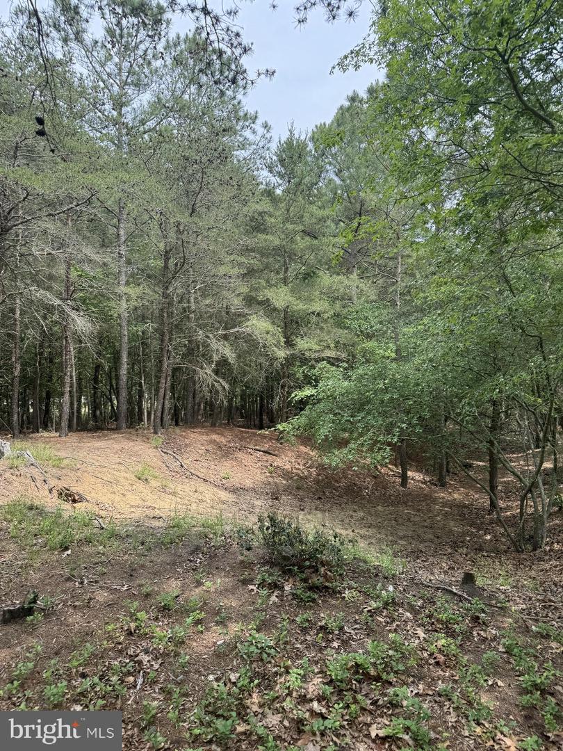 0 Nanticoke Rd Property Photo 9