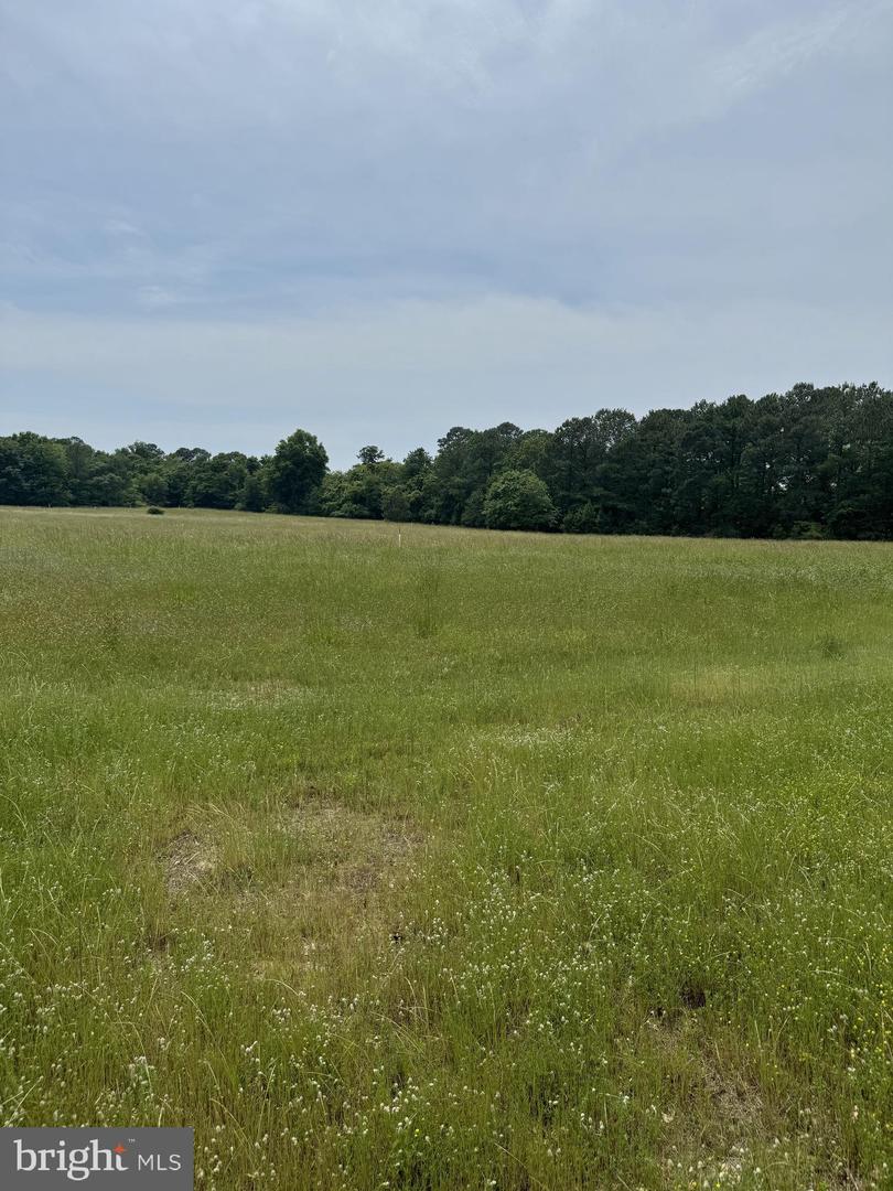 0 Nanticoke Rd Property Photo 13