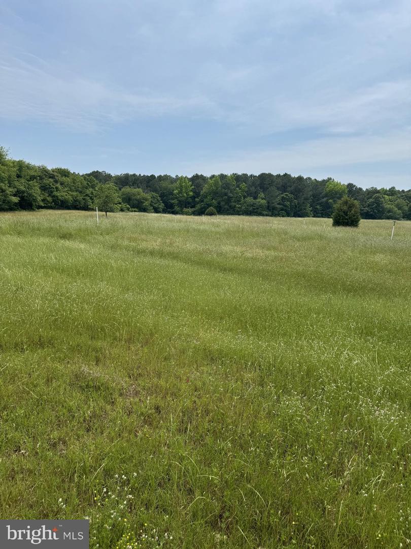 0 Nanticoke Rd Property Photo 14