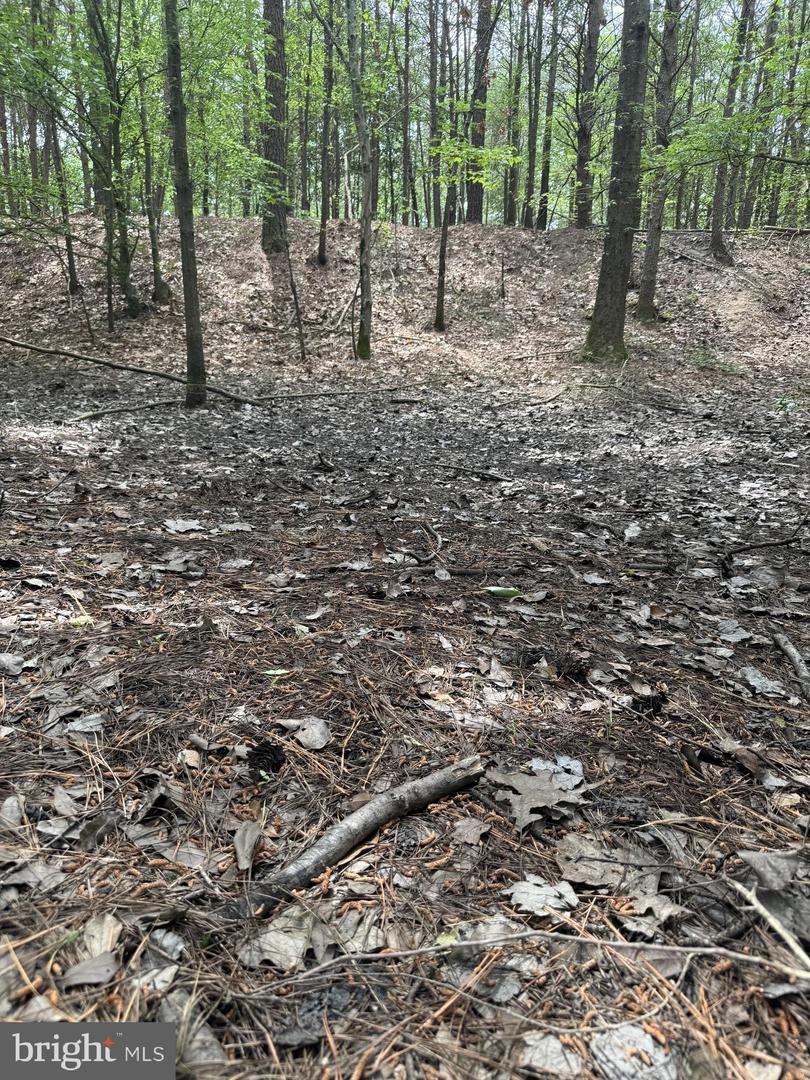 0 Nanticoke Rd Property Photo 15