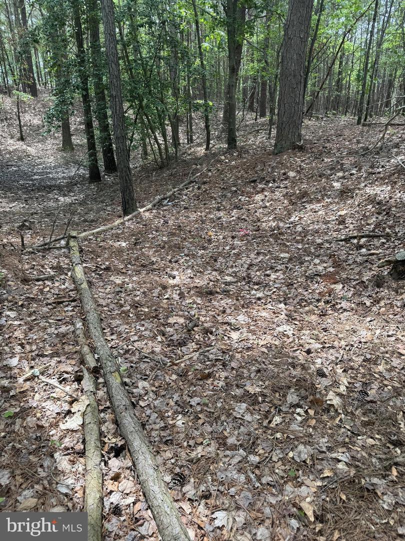 0 Nanticoke Rd Property Photo 16