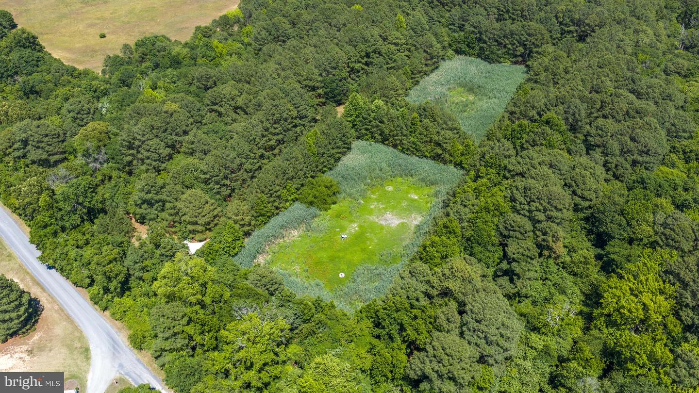 0 Nanticoke Rd Property Photo 17