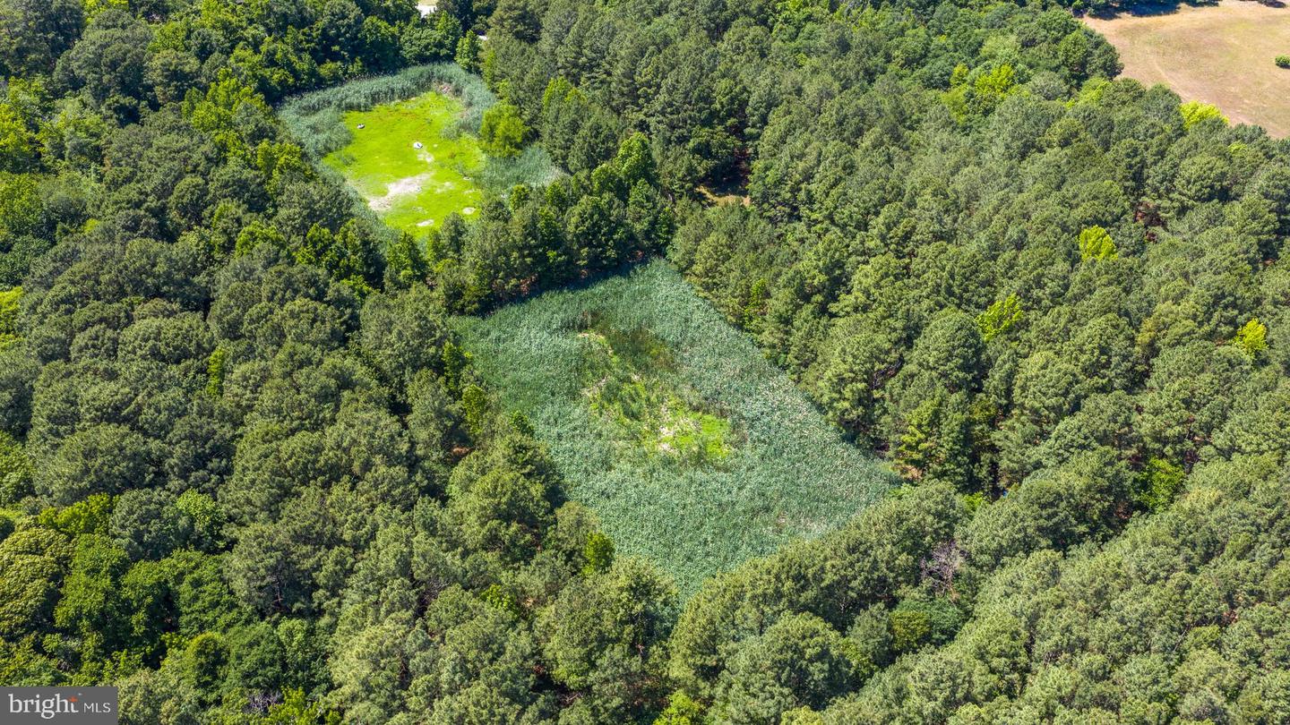 0 Nanticoke Rd Property Photo 18