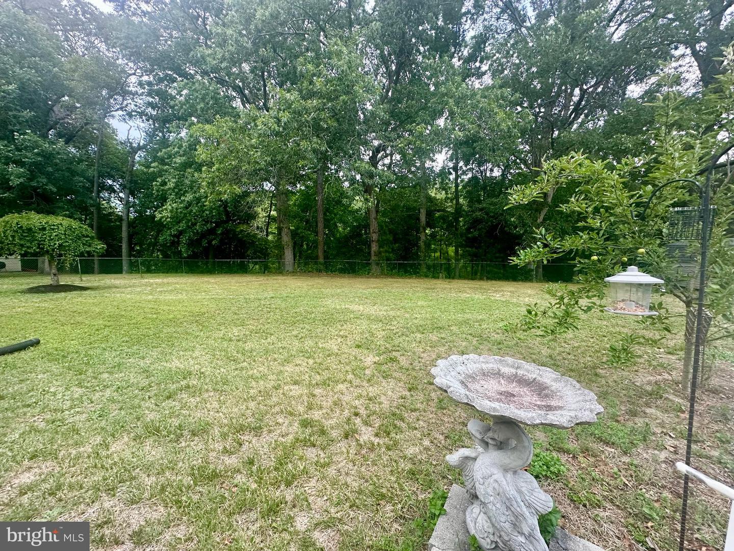 4843 Goose Creek Dr Property Photo 27