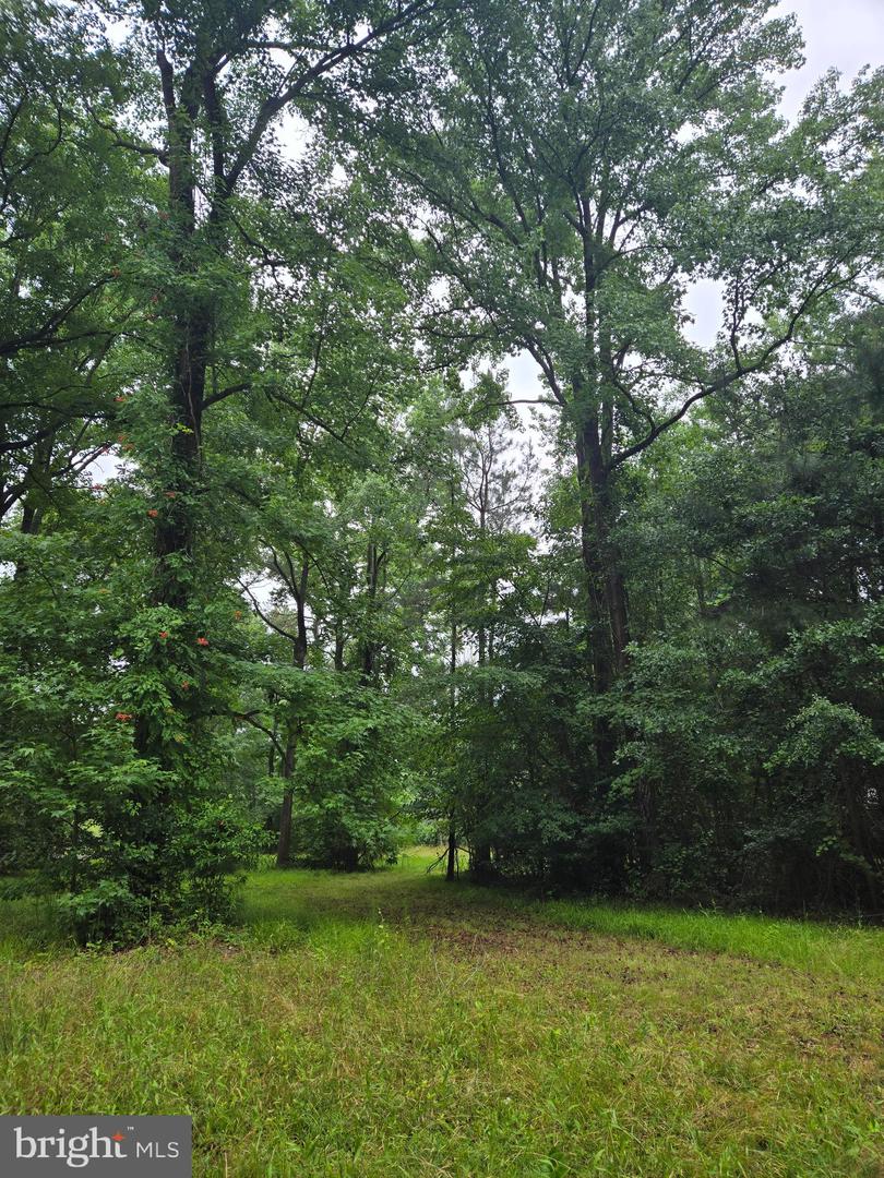 Cooper Rd Property Photo 6