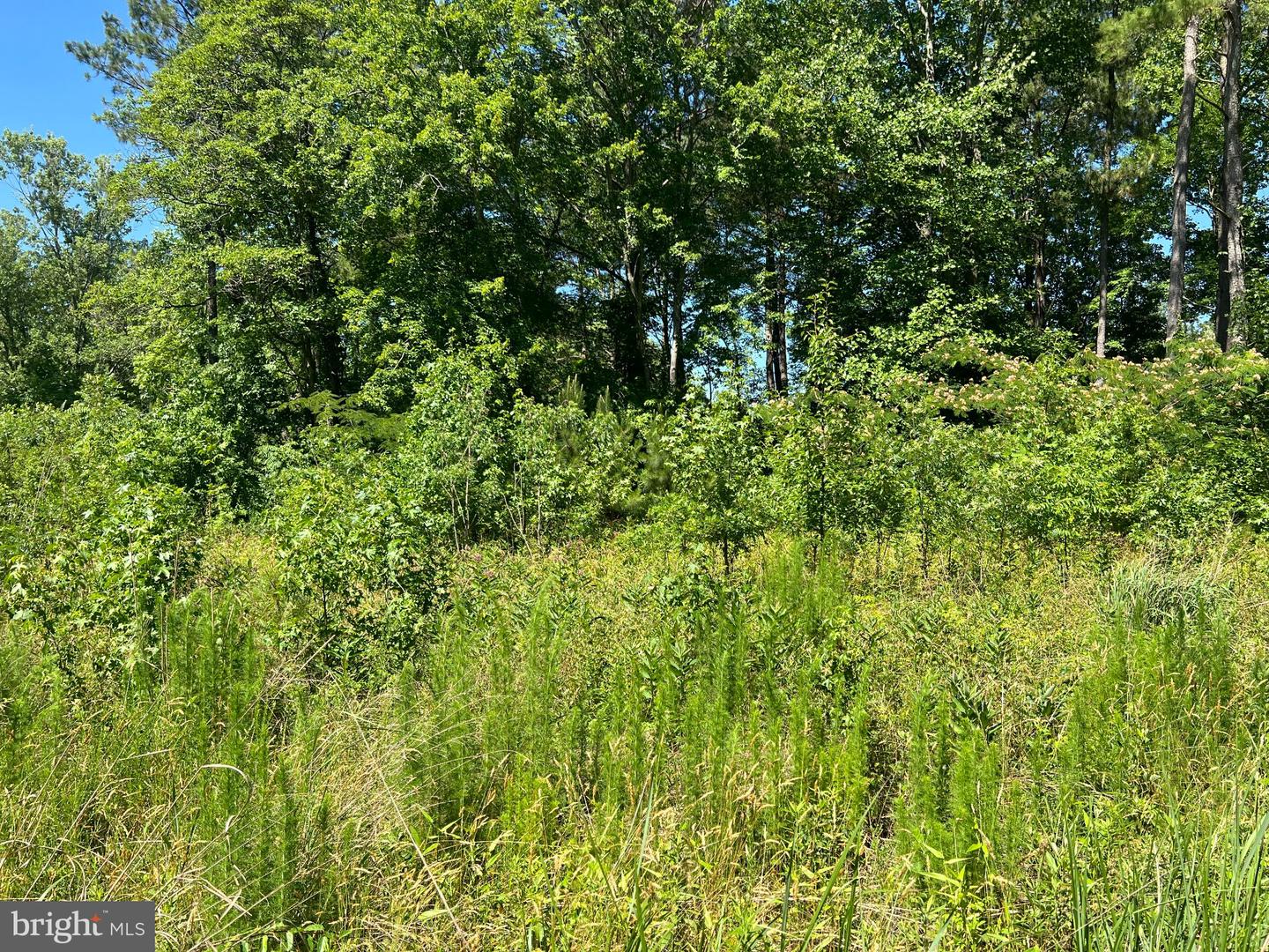 Cedar Ct Property Photo 4