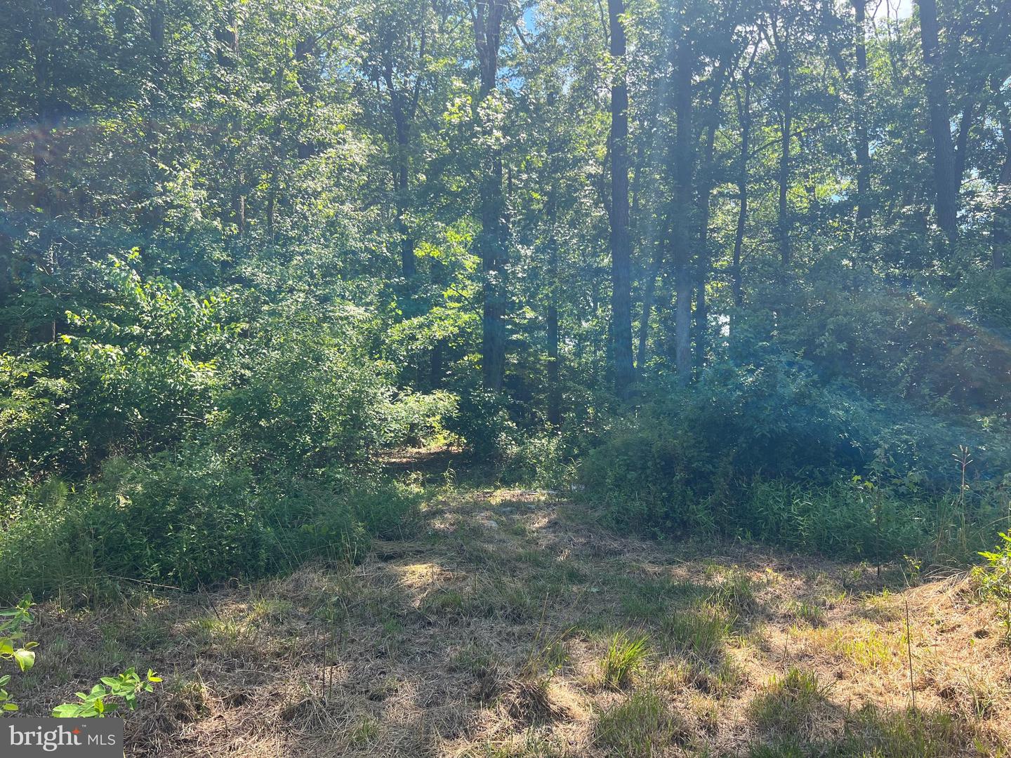 Cedar Ct Property Photo 5