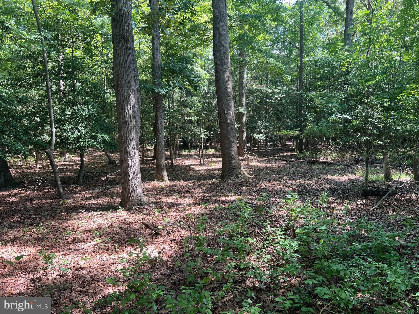 Cedar Ct Property Photo 7