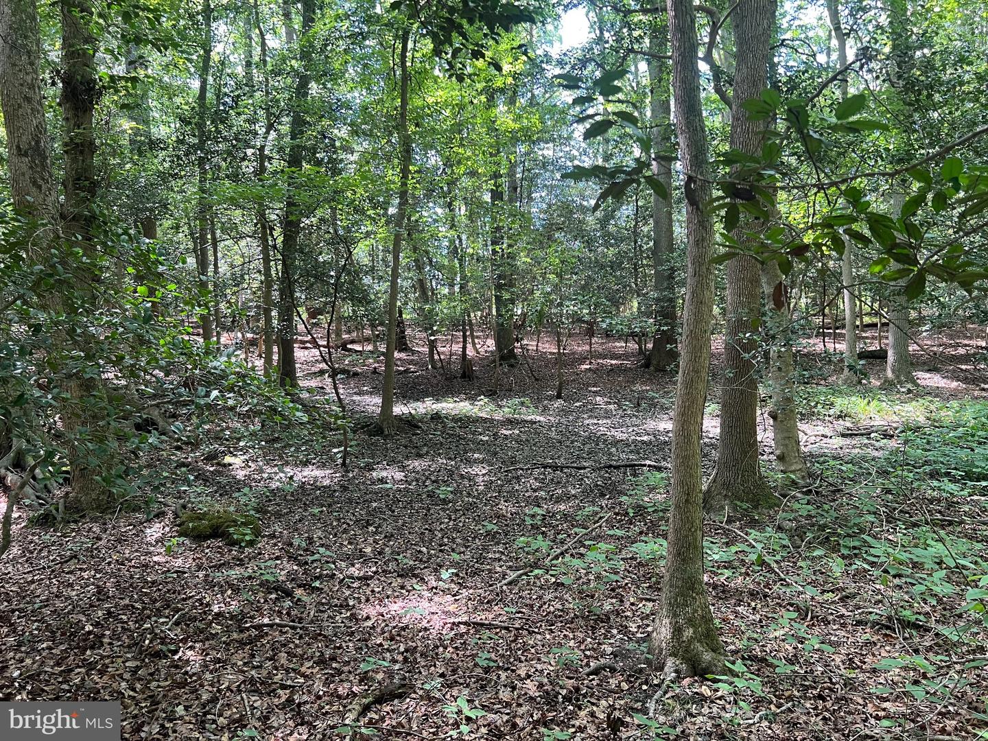 Cedar Ct Property Photo 10