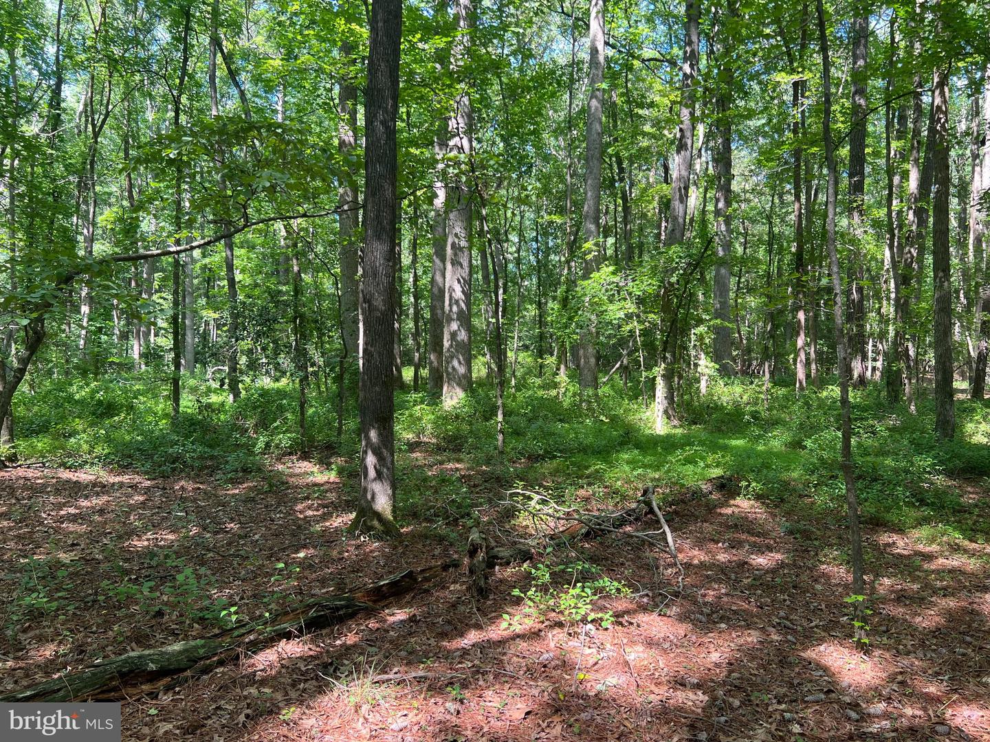 Cedar Ct Property Photo 12