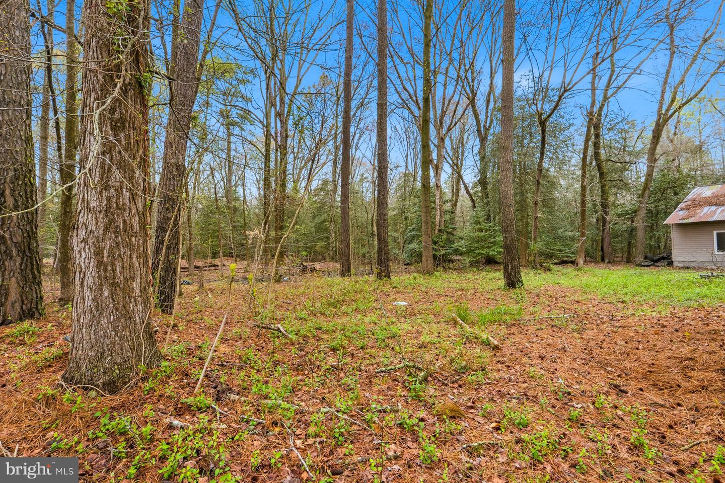 8434 Hurleys Neck Rd Property Photo 5