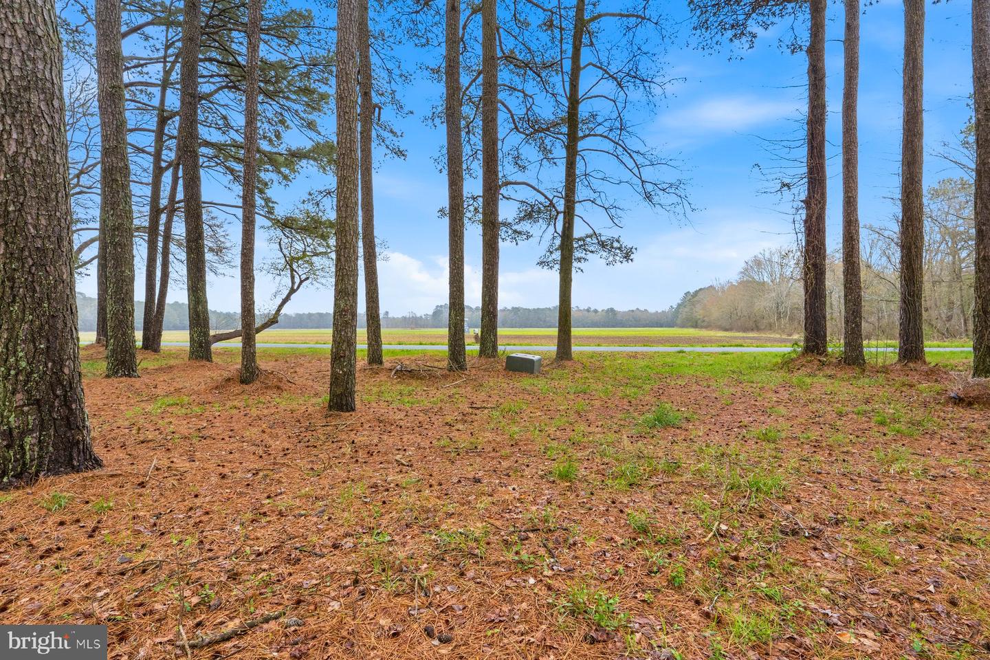 8434 Hurleys Neck Rd Property Photo 28