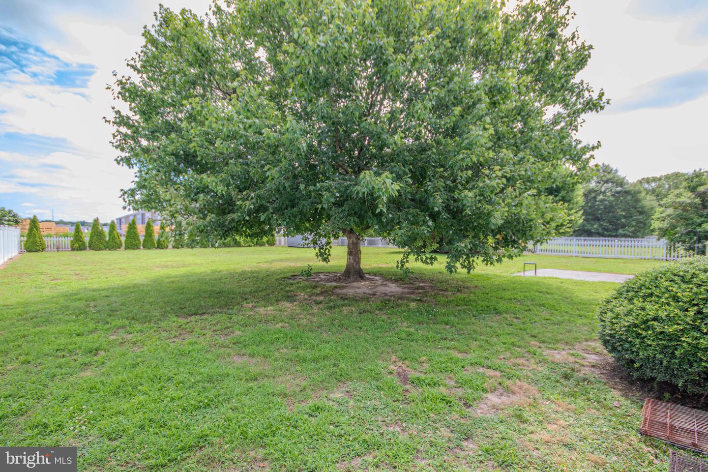 6195 Diamondback Dr Property Photo 38