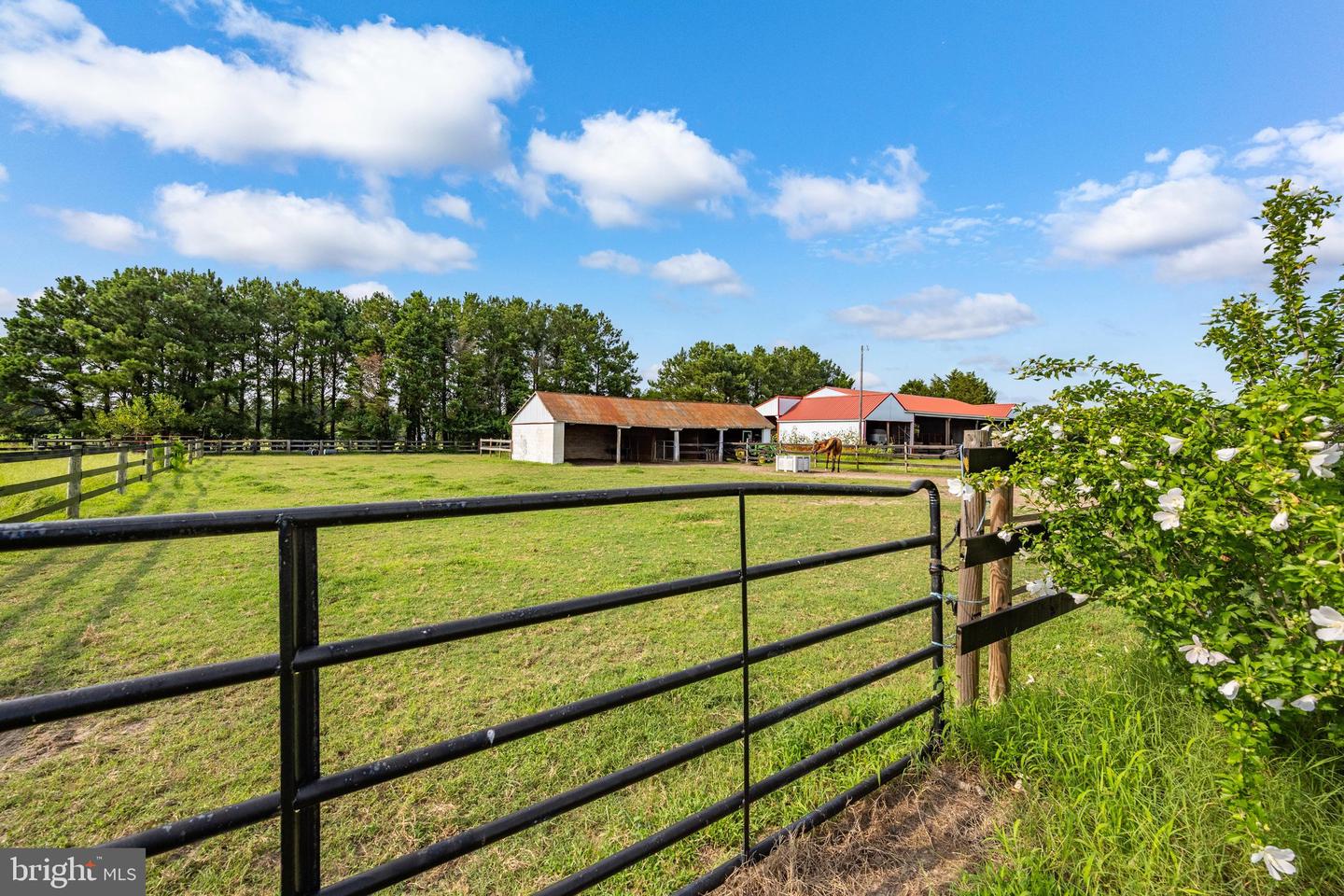 9140 Athol Rd Property Photo 65
