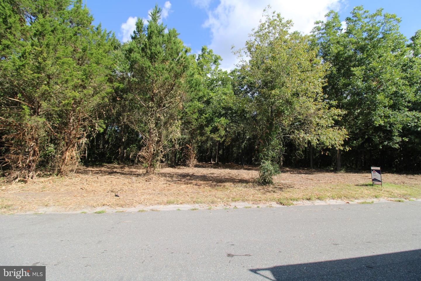 641 SUFFOLK CT