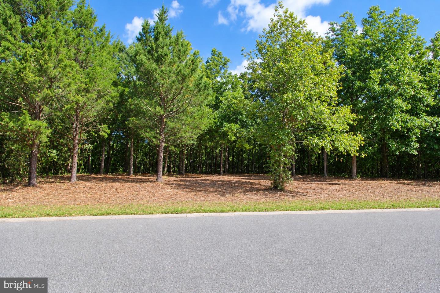 641 Suffolk Ct Property Photo 3