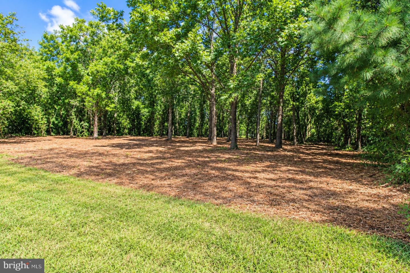 641 Suffolk Ct Property Photo 6