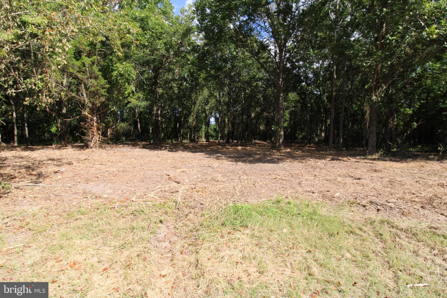 641 Suffolk Ct Property Photo 12