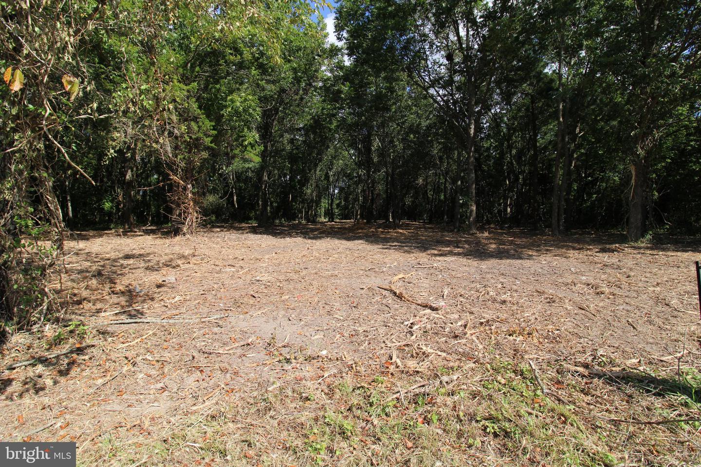 641 Suffolk Ct Property Photo 14