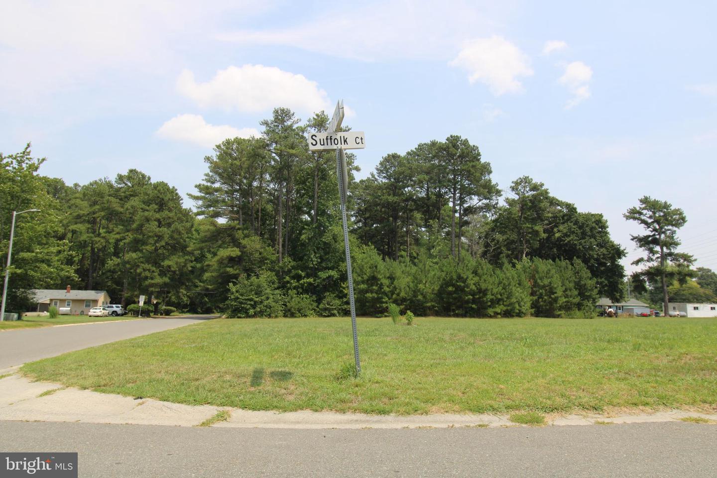 641 Suffolk Ct Property Photo 16