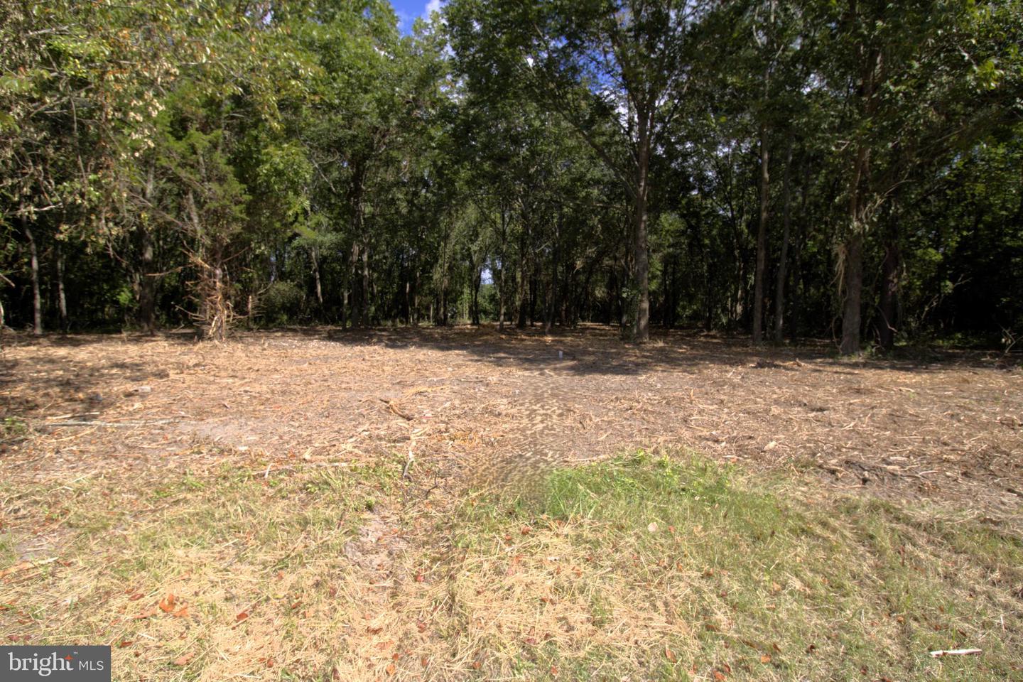 641 Suffolk Ct Property Photo 17