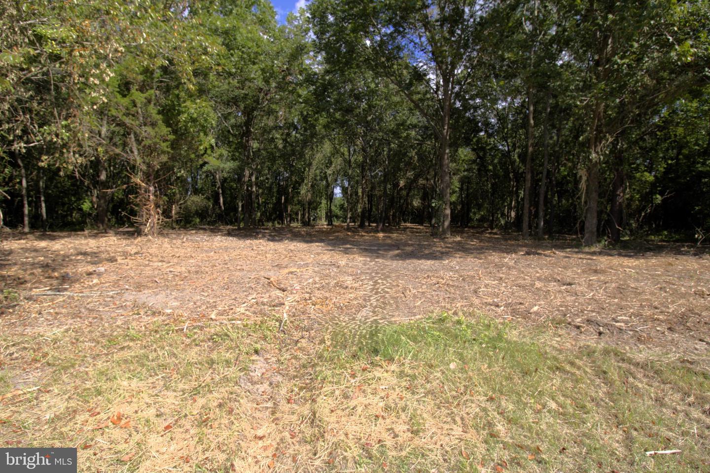 641 Suffolk Ct Property Photo 18