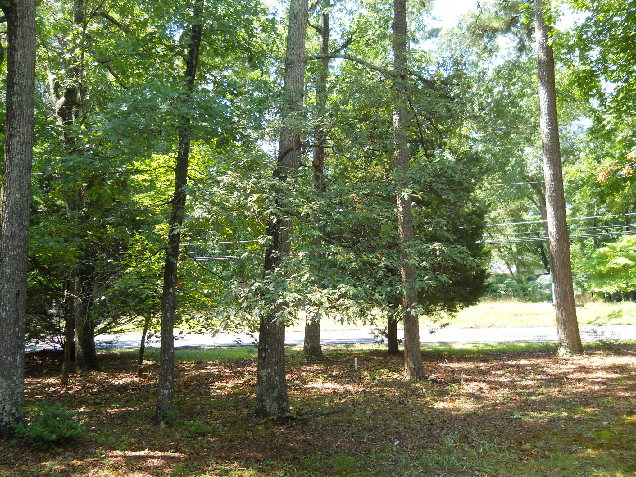 5819 Kirknewton Dr Property Photo 7