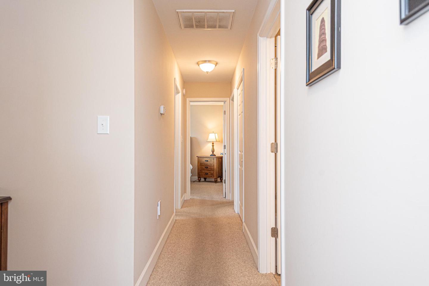 7194 Chatham Manor Way Property Photo 28