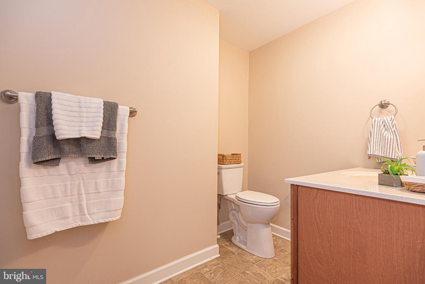 7194 Chatham Manor Way Property Photo 40