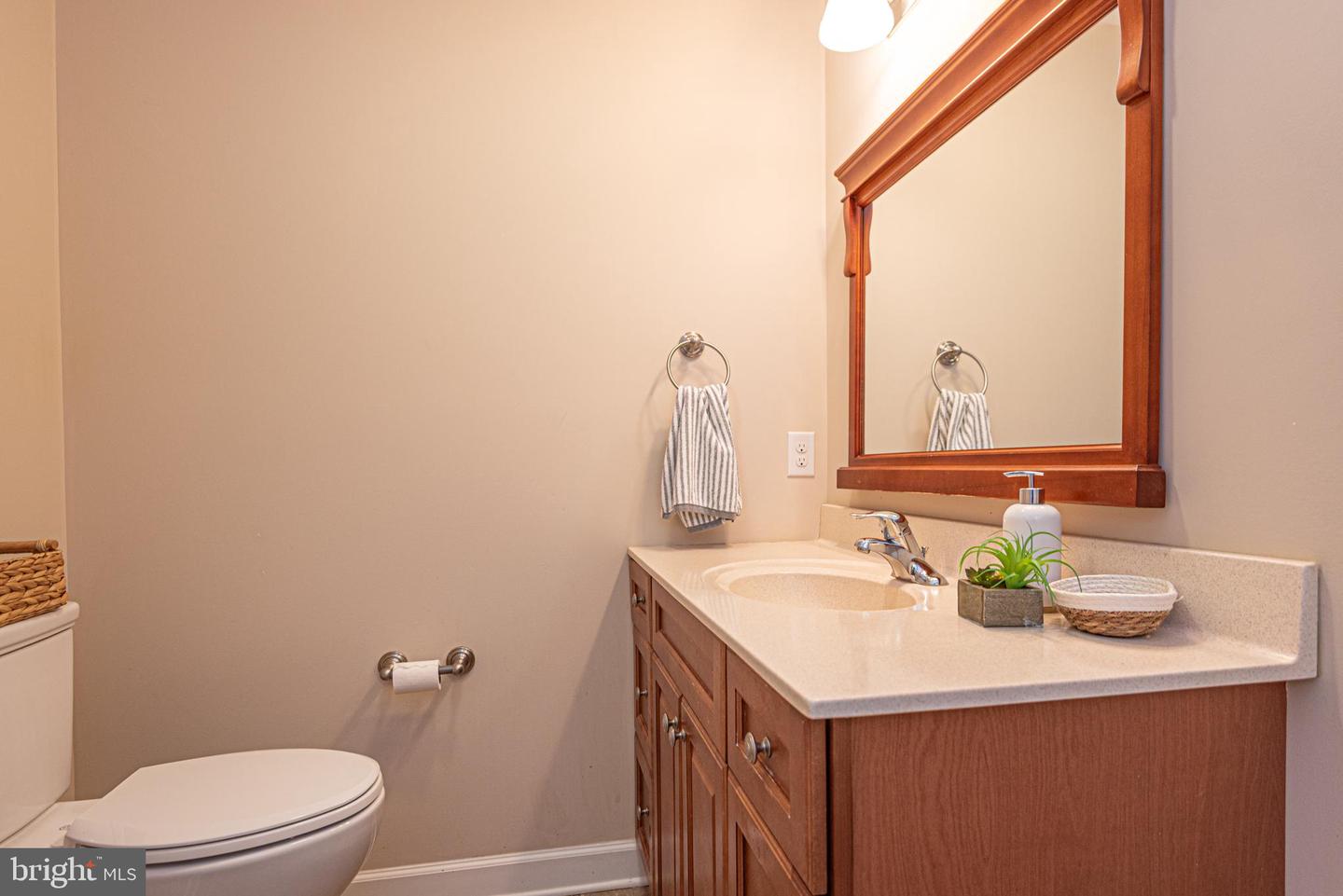 7194 Chatham Manor Way Property Photo 41
