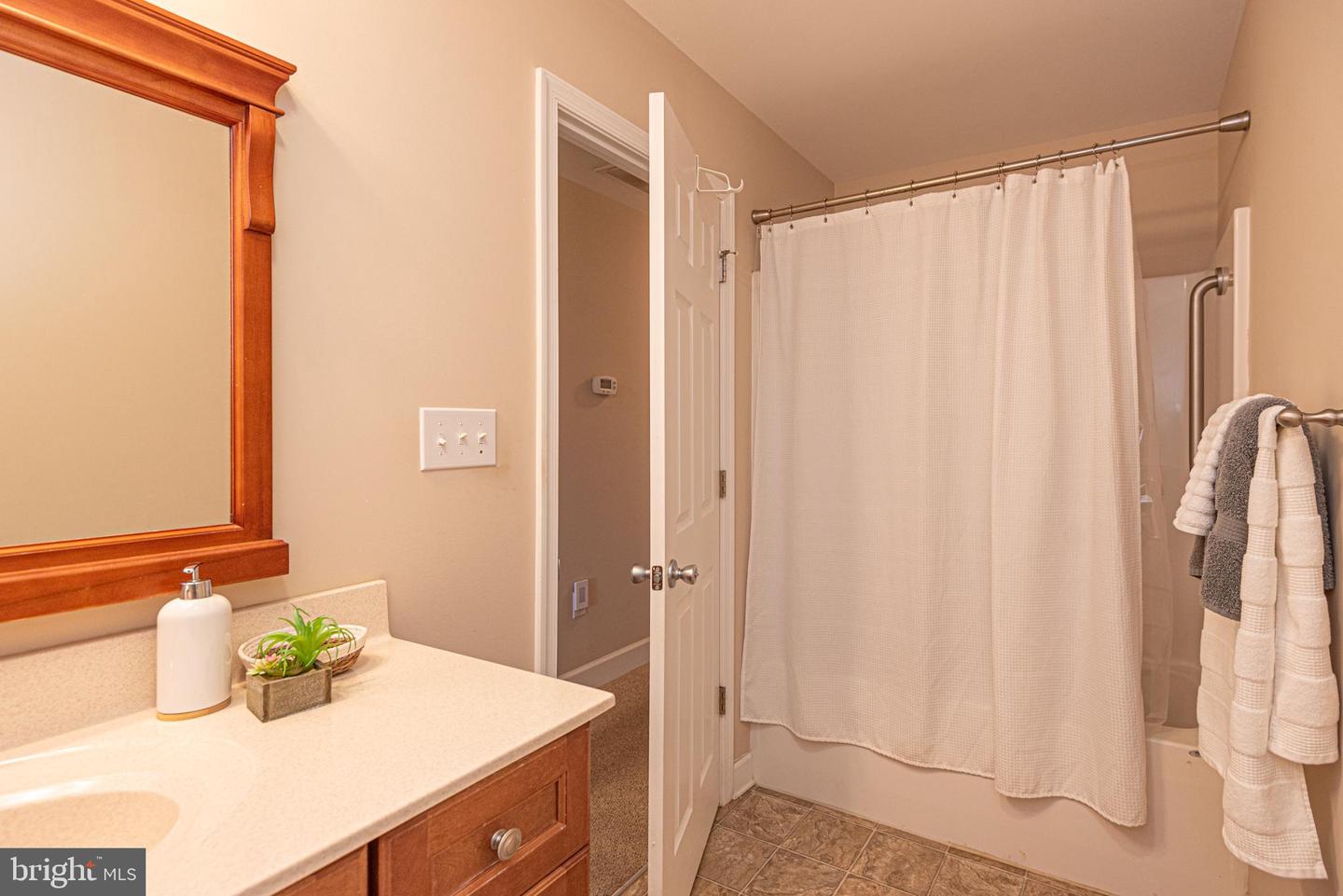 7194 Chatham Manor Way Property Photo 42