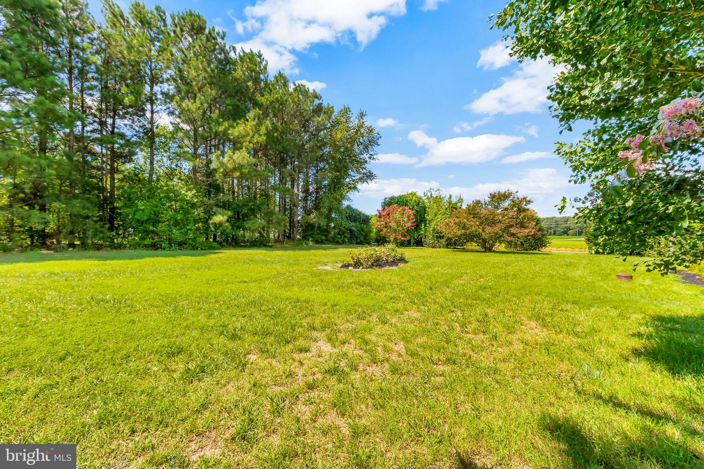 305 Gunbys Mill Dr Property Photo 40
