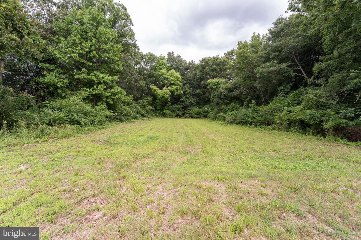 11700 San Domingo Rd Property Photo 9