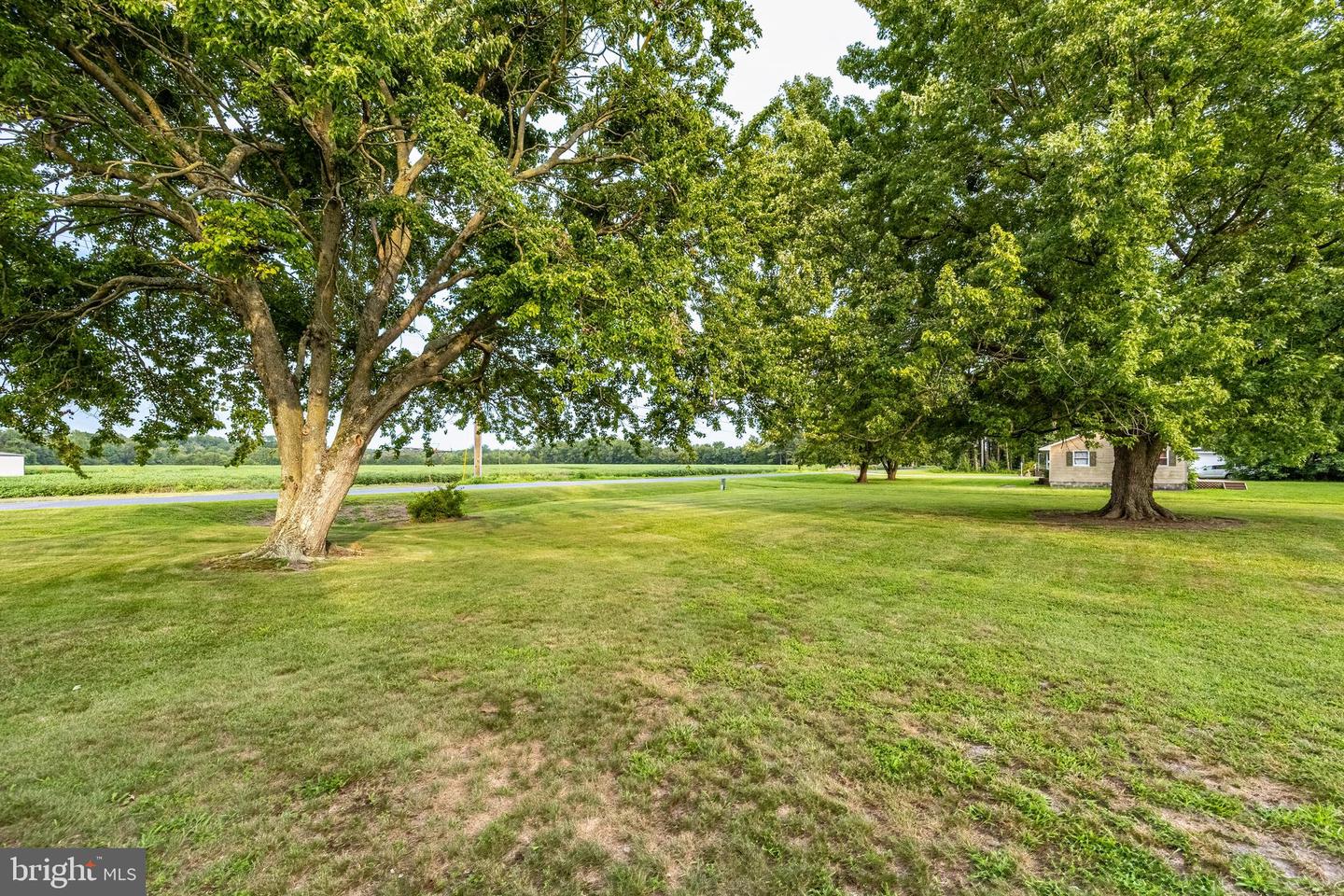 6986 Bent Pine Rd Property Photo 64